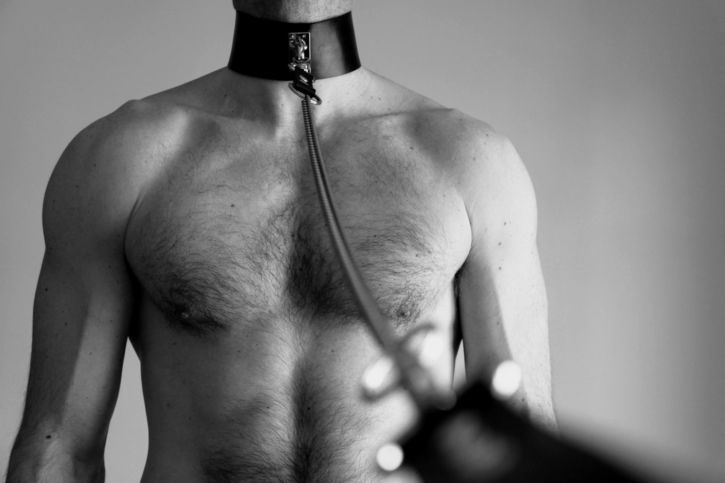 Laisse 2 en 1 - CHAIN -