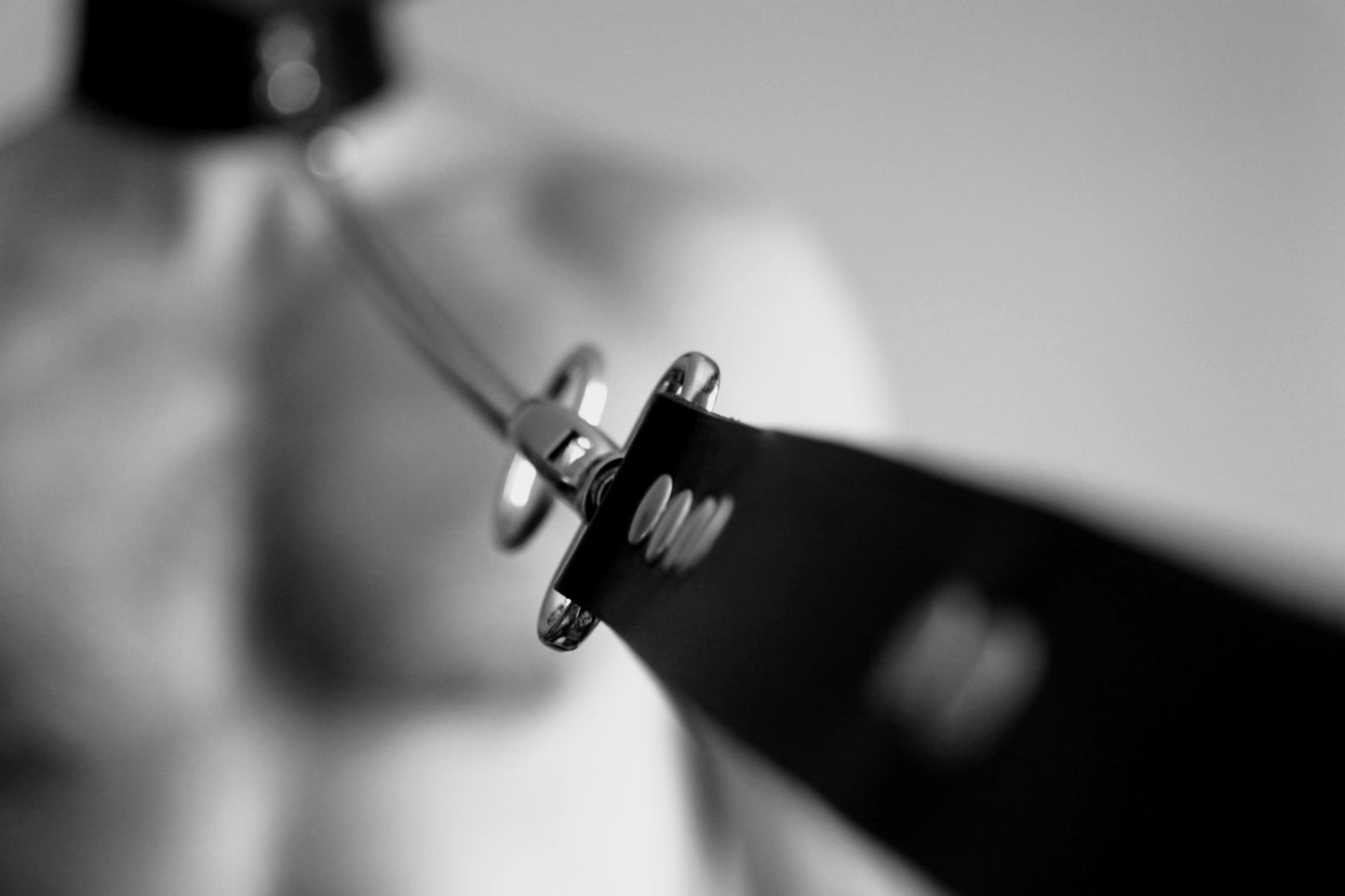 Laisse 2 en 1 - CHAIN -
