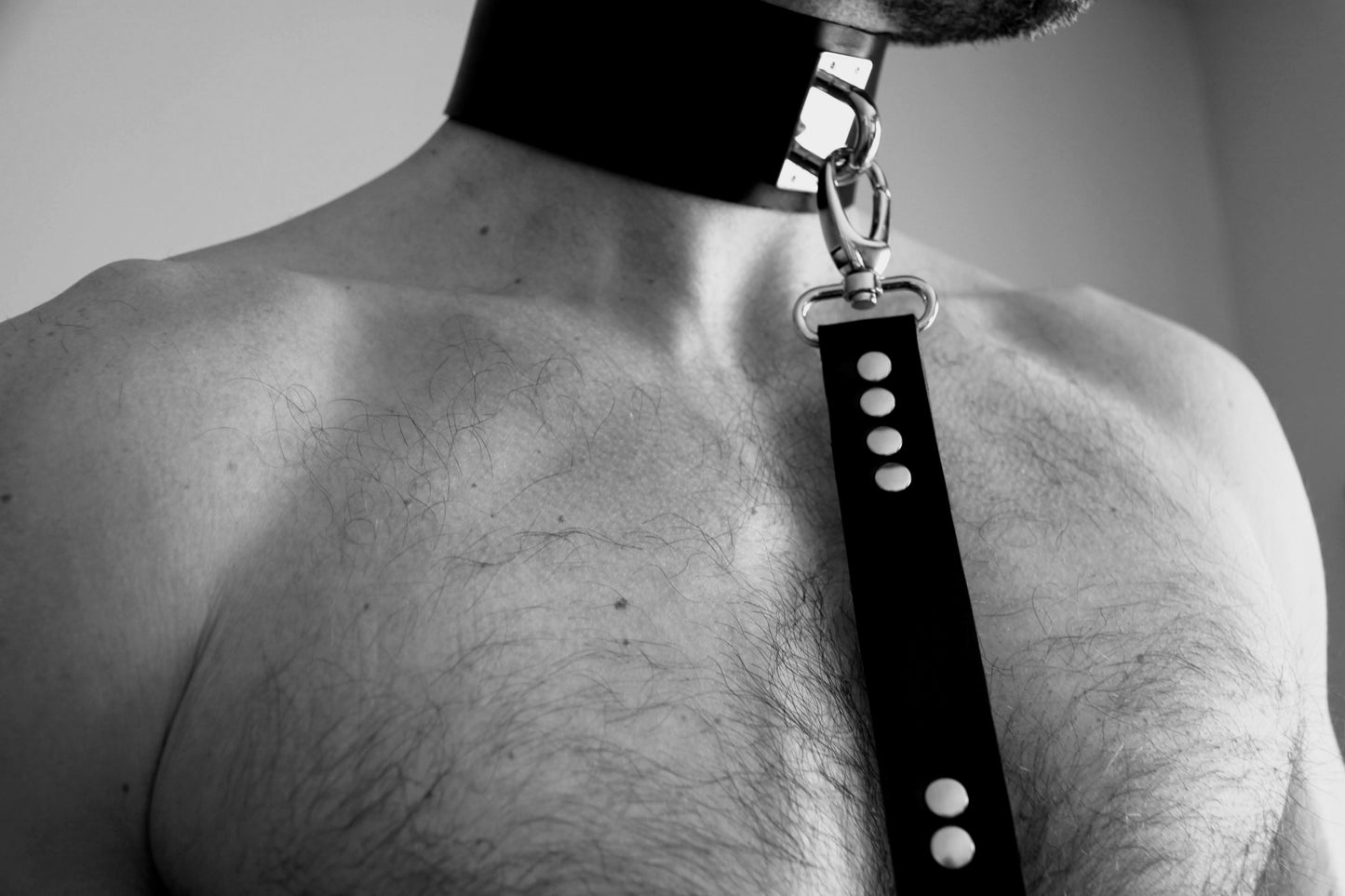 Laisse 2 en 1 - CHAIN -
