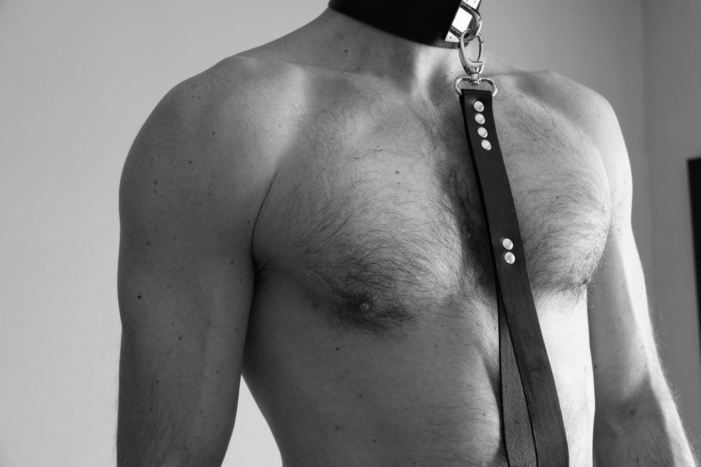 Laisse 2 en 1 - CHAIN -