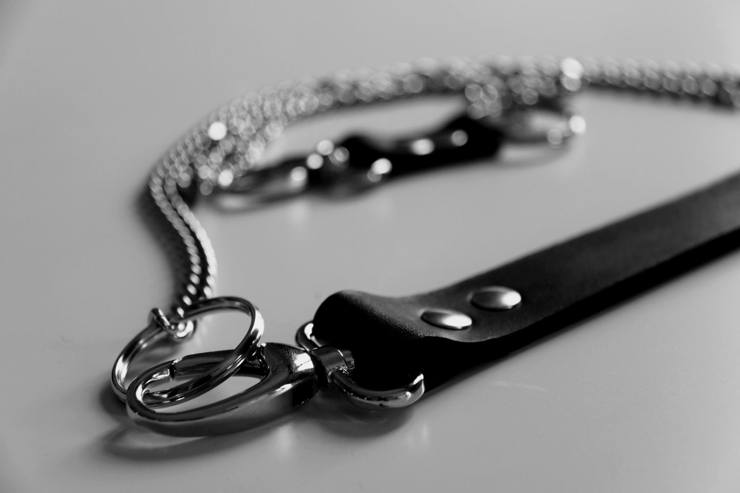 Laisse 2 en 1 - CHAIN -
